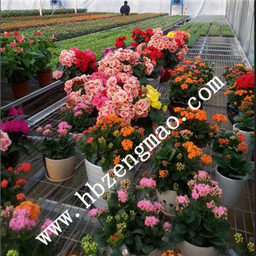 <a href='/' target='_blank'><a href='/' target='_blank'>溫室苗床</a>網(wǎng)</a>廠(chǎng)家